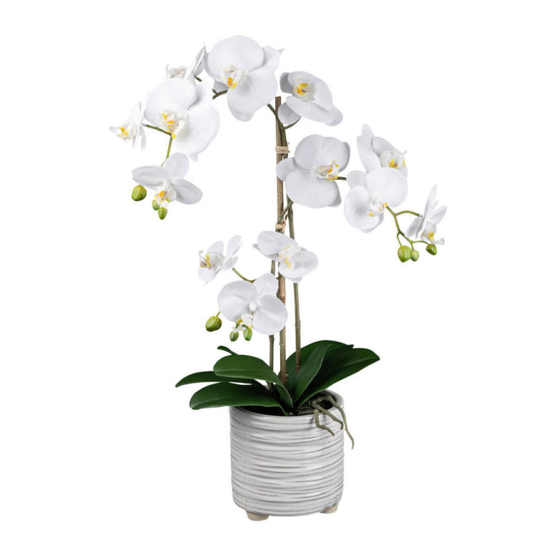 Kunstpflanze Phalaenopsis weiß Kunststoff B/H/L: ca. 19x59x19 cm