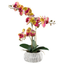 Kunstpflanze Phalaenopsis pink Kunststoff B/H/L: ca. 17x55x17 cm