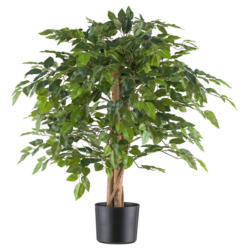 Kunstpflanze Ficus Benjamina grün Kunststoff B/H/L: ca. 21x85x21 cm