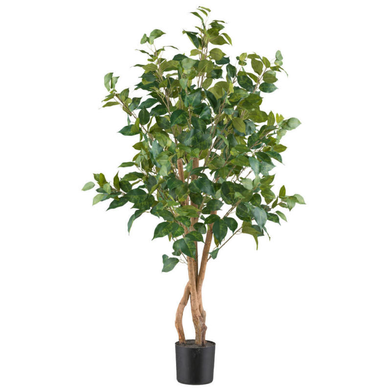 Kunstpflanze Ficus Benjamina grün Kunststoff B/H/L: ca. 20x120x20 cm