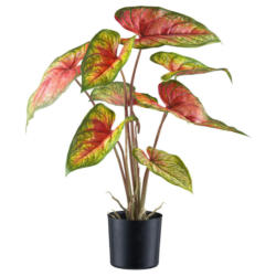 Kunstpflanze Caladium Red Flash grün Kunststoff B/H/L: ca. 17x55x17 cm