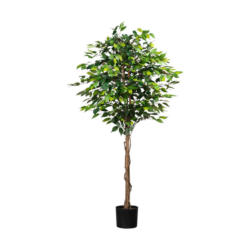 Kunstpflanze Ficus Benjaminus grün Kunststoff B/H/L: ca. 25x170x25 cm