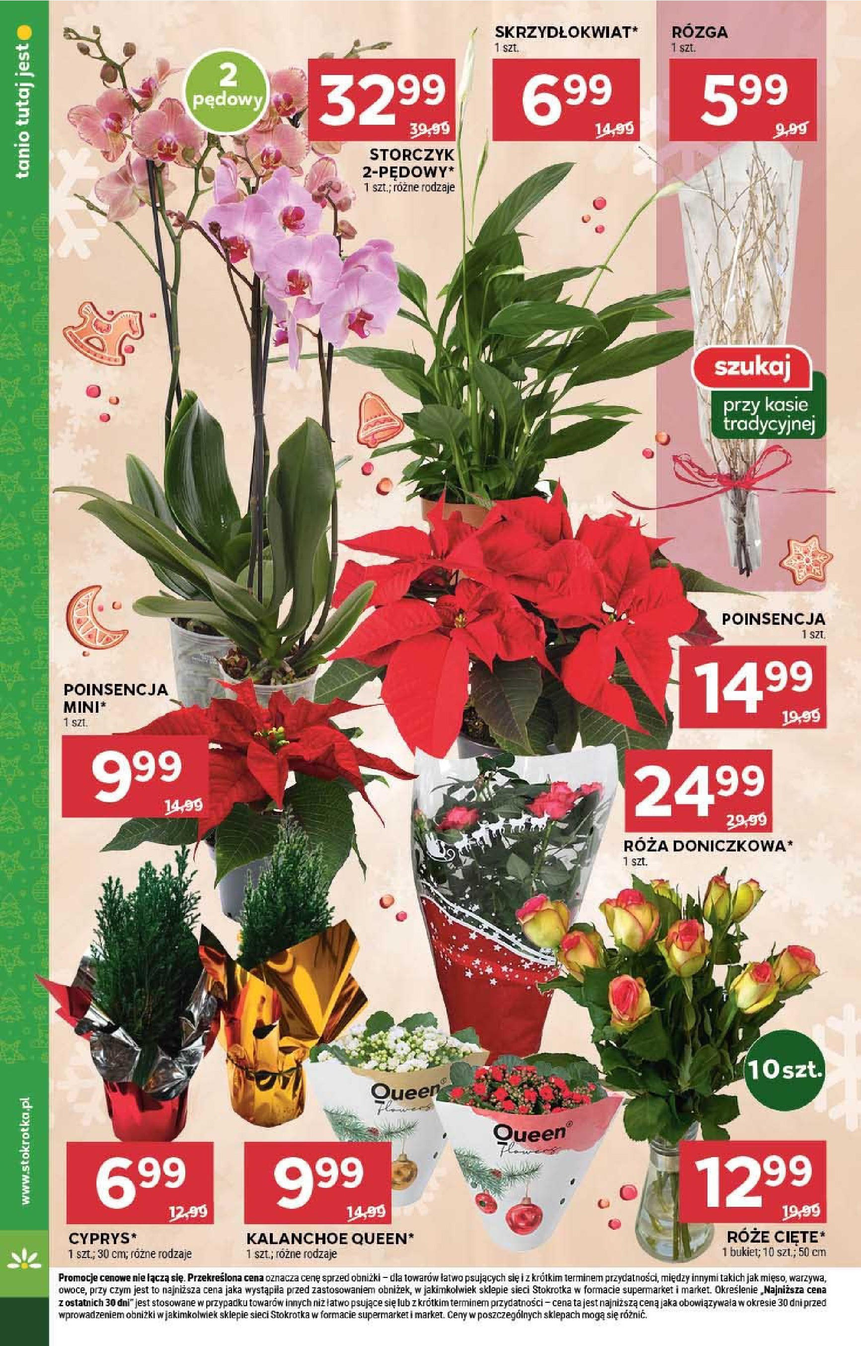 Stokrotka - Stokrotka SUPERMARKET gazetka do 11.12.2024 03.12.2024 - Promocje online | Strona: 10 | Produkty: Stokrotka, Kalanchoe, Storczyk