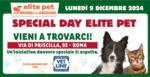 Elite Pet Special day - al 09.12.2024