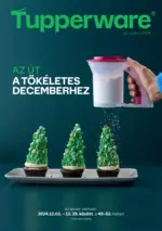 Tupperware: Tupperware - 2024.12.29 napig