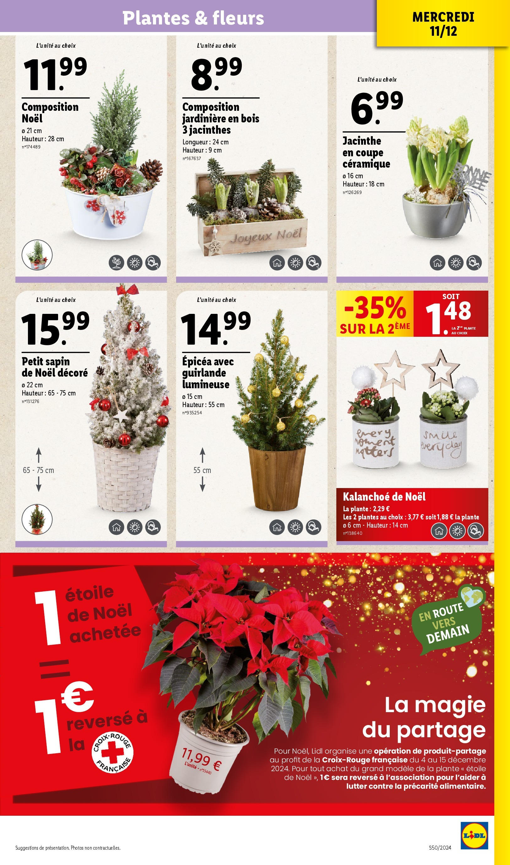 Catalogue LIDL du 10/12/2024 | Promo prospectus en ligne | Page: 33 | Produits: Plantes, Jardinière