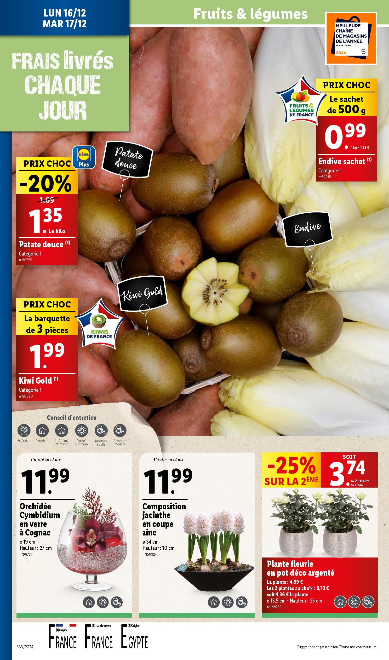 Catalogue LIDL du 10/12/2024 | Promo prospectus en ligne | Page: 34 | Produits: Patate douce, Cognac, Endive, Kiwi