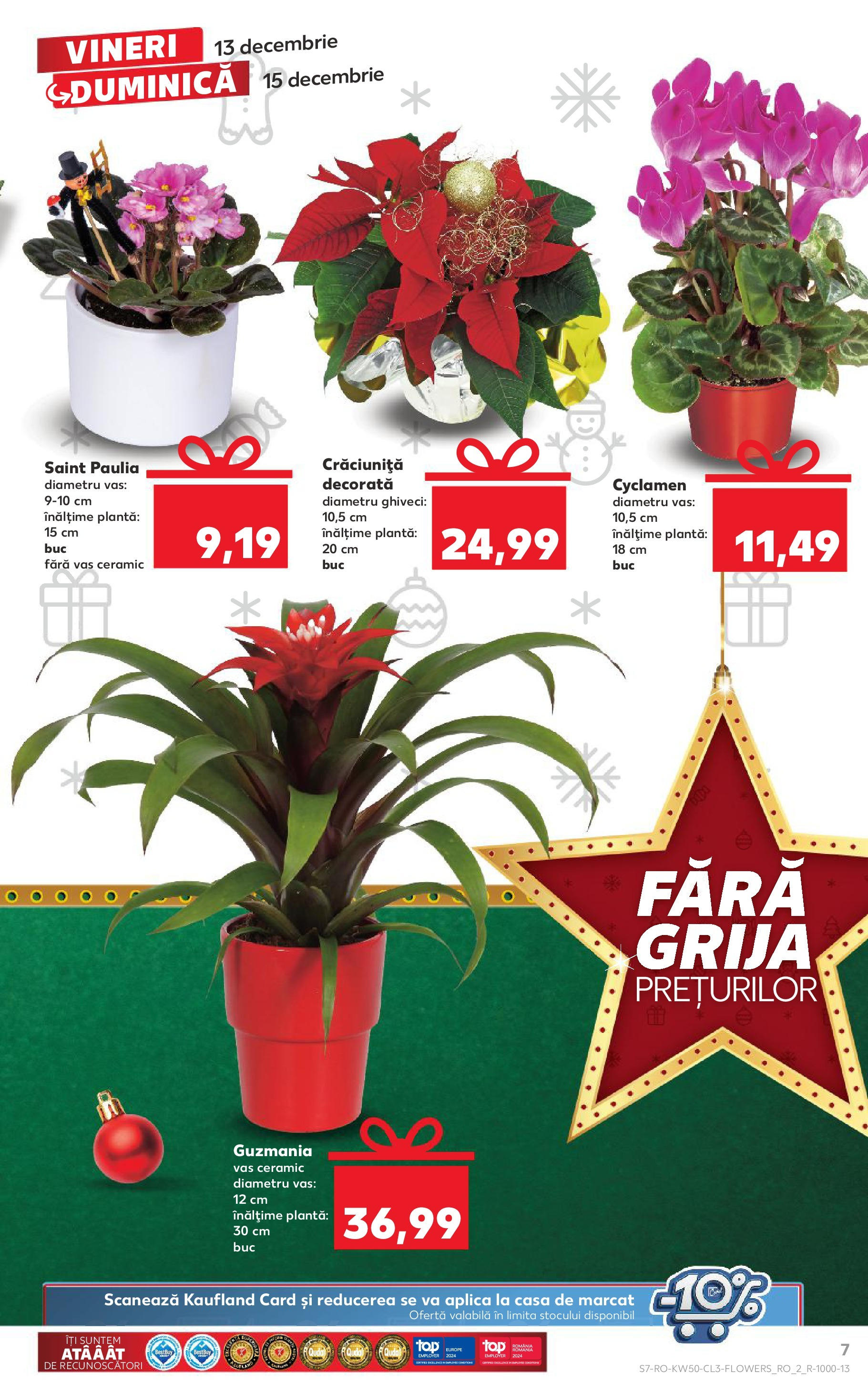 Catalog Kaufland CRĂCIUN de la 13.12.2024 | Pagină: 7 | Produse: Top, Ghiveci