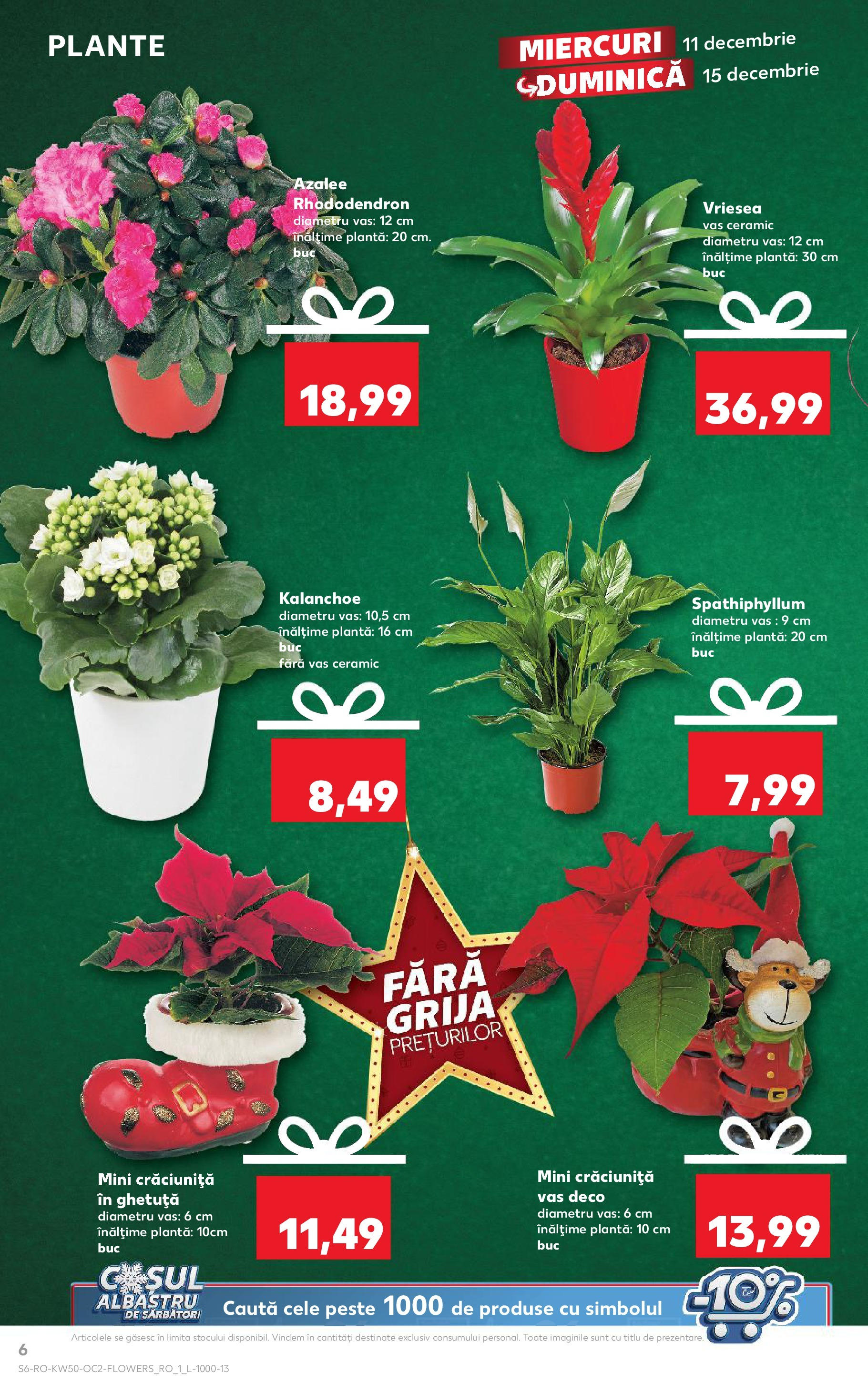 Catalog Kaufland - Bistriţa 11.12.2024 - Revista si Oferta | Pagină: 6 | Produse: Pește