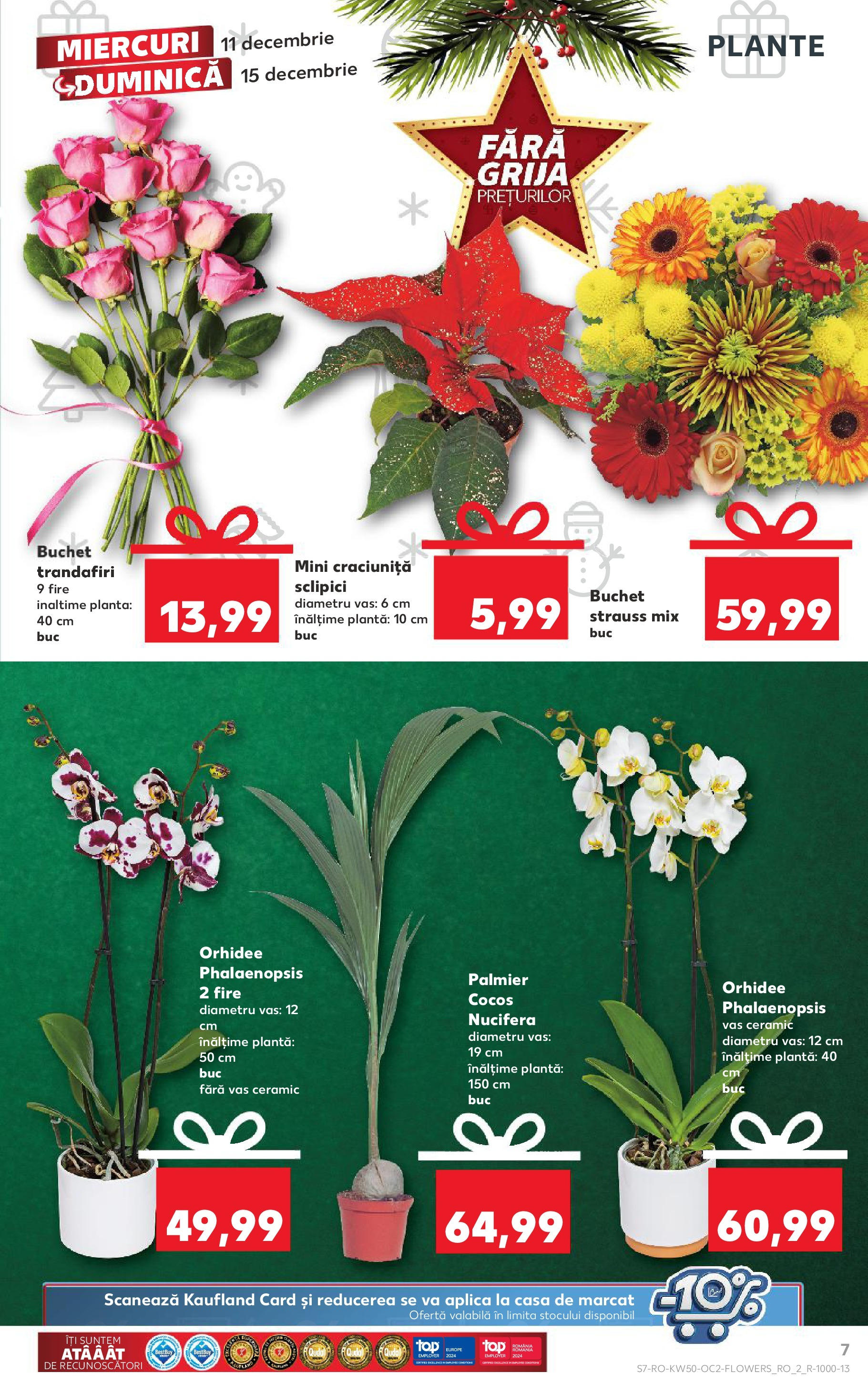 Catalog Kaufland - Bistriţa 11.12.2024 - Revista si Oferta | Pagină: 7 | Produse: Top, Orhidee