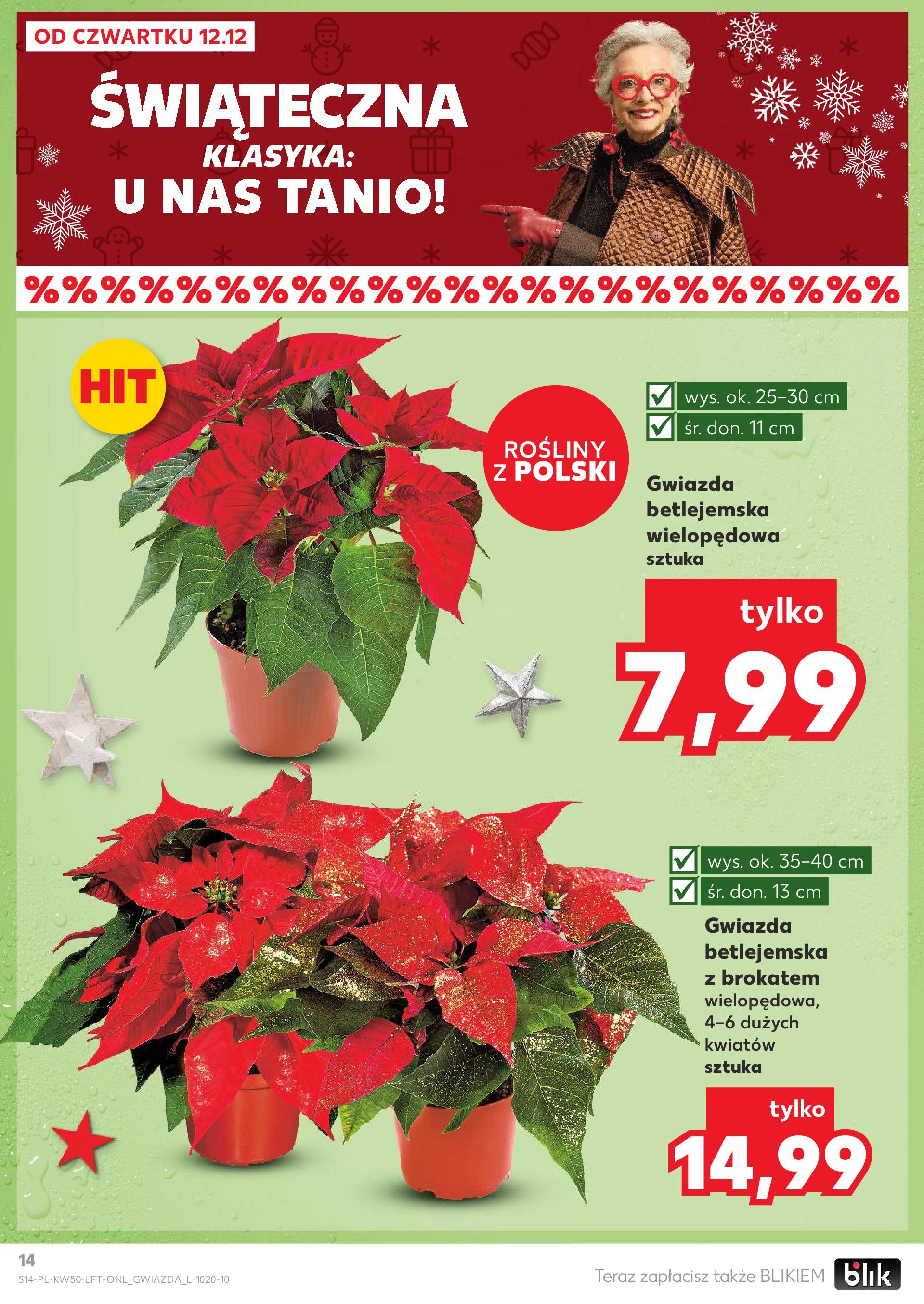 Kaufland - Kaufland gazetka do 18.12.2024 od 11.12.2024 - od jutra PDF | Strona: 14 | Produkty: Rosliny