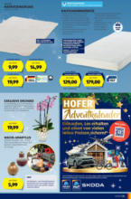 HOFER HOFER: Flugblatt - ab 13.12.2024