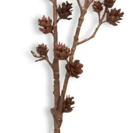 JYSK Crenguță FREJ 10x10x76cm maro