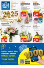 Lidl Österreich Lidl: Flugblatt in deiner Nähe - ab 19.12.2024