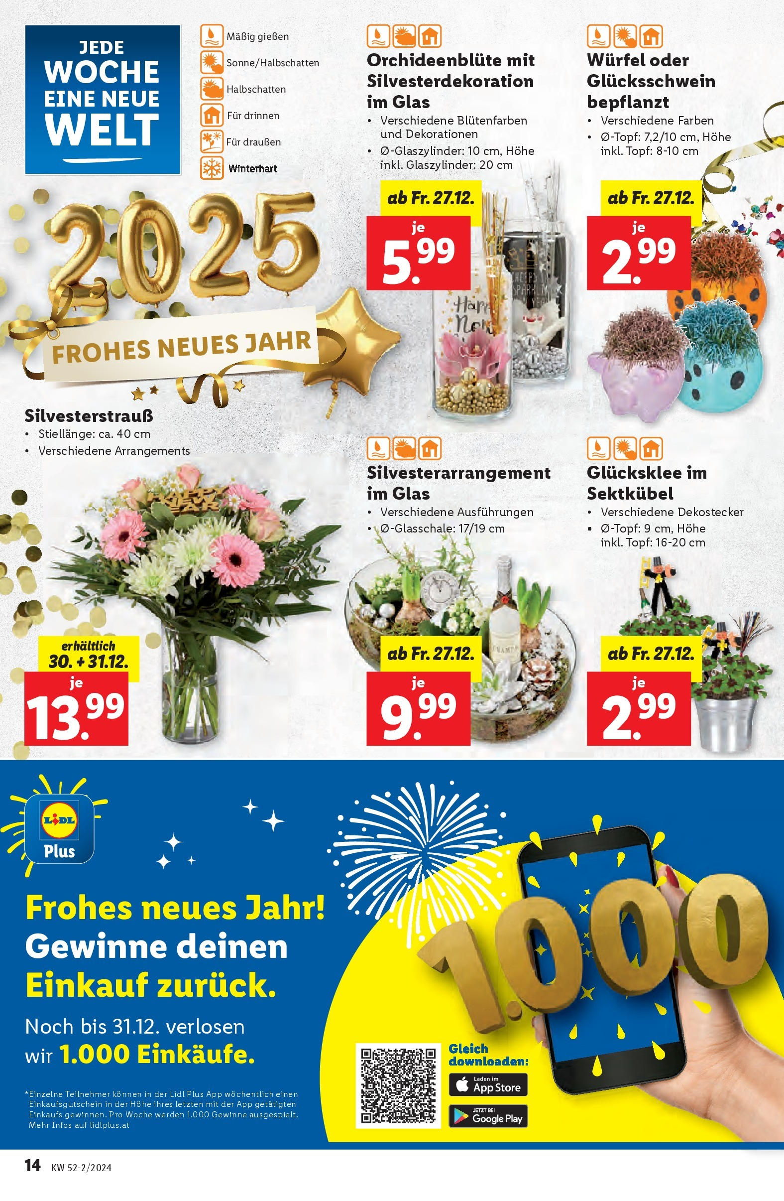 Lidl Flugblatt - Wien, Kittsee, Pölten ab 19.12.2024 - Angebote ab donnerstag | Seite: 57