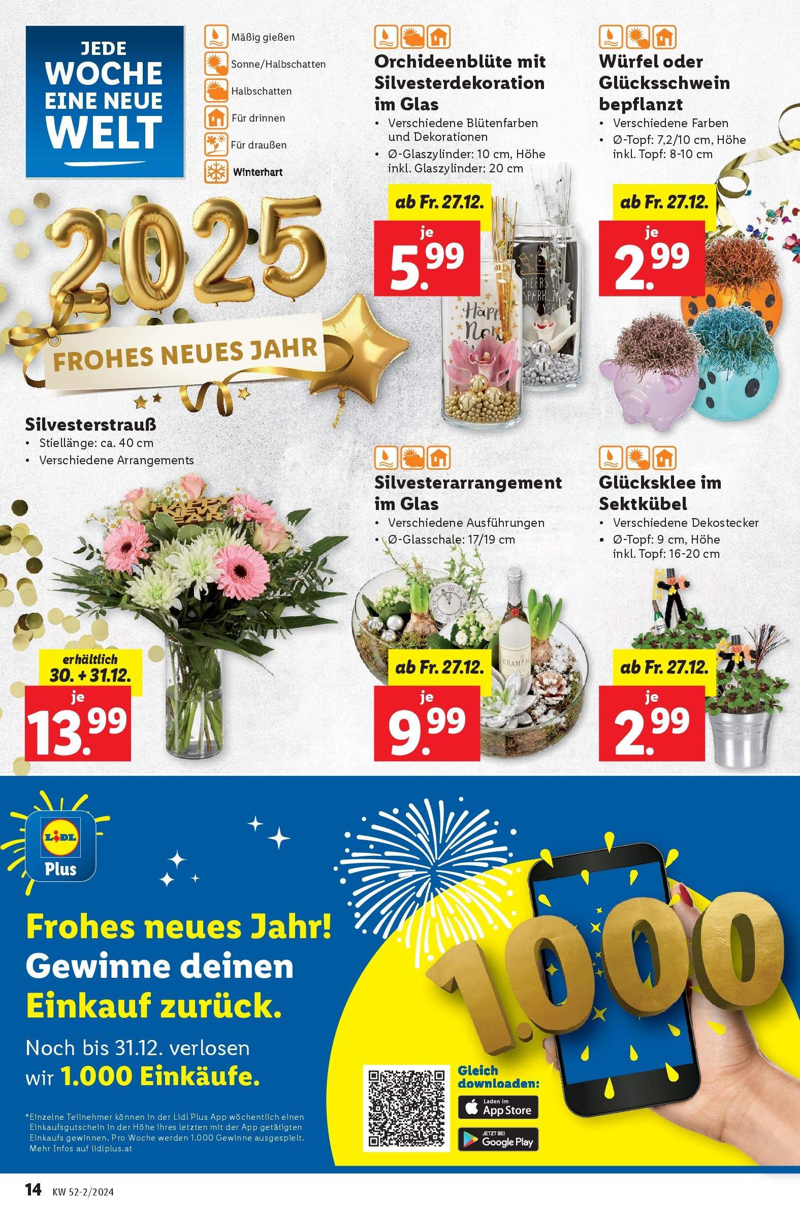 Lidl - Lidl: Flugblatt in deiner Nähe ab 26.12.2024 - Angebote ab donnerstag | Seite: 14