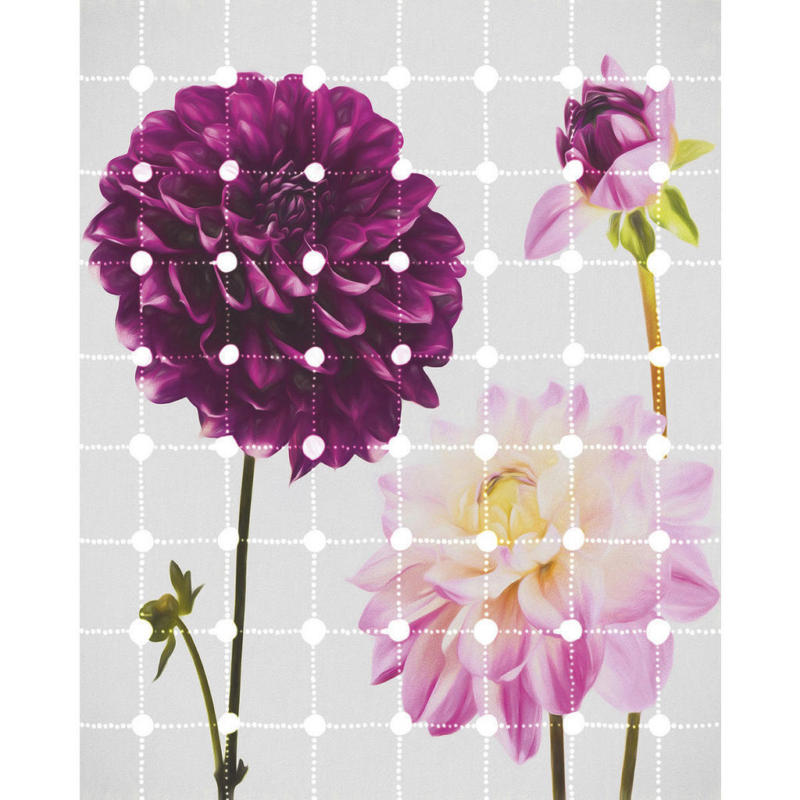 Komar Fototapete Flowers & Dots B/L: ca. 200x250 cm