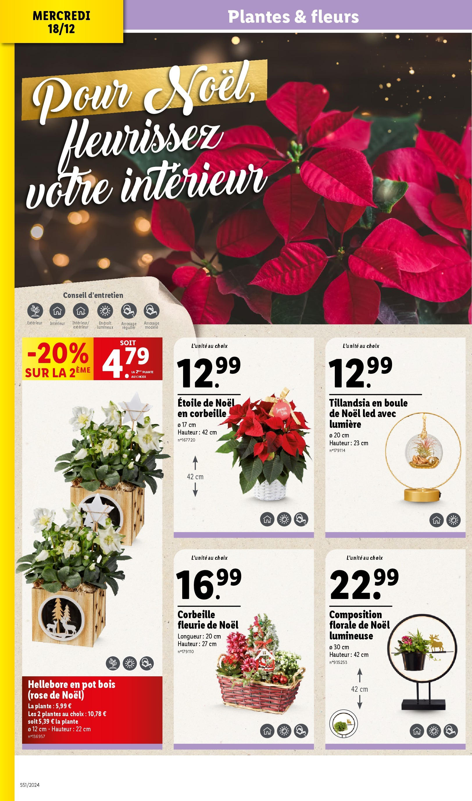 Catalogue LIDL du 15/12/2024 | Promo prospectus en ligne | Page: 32 | Produits: Plantes