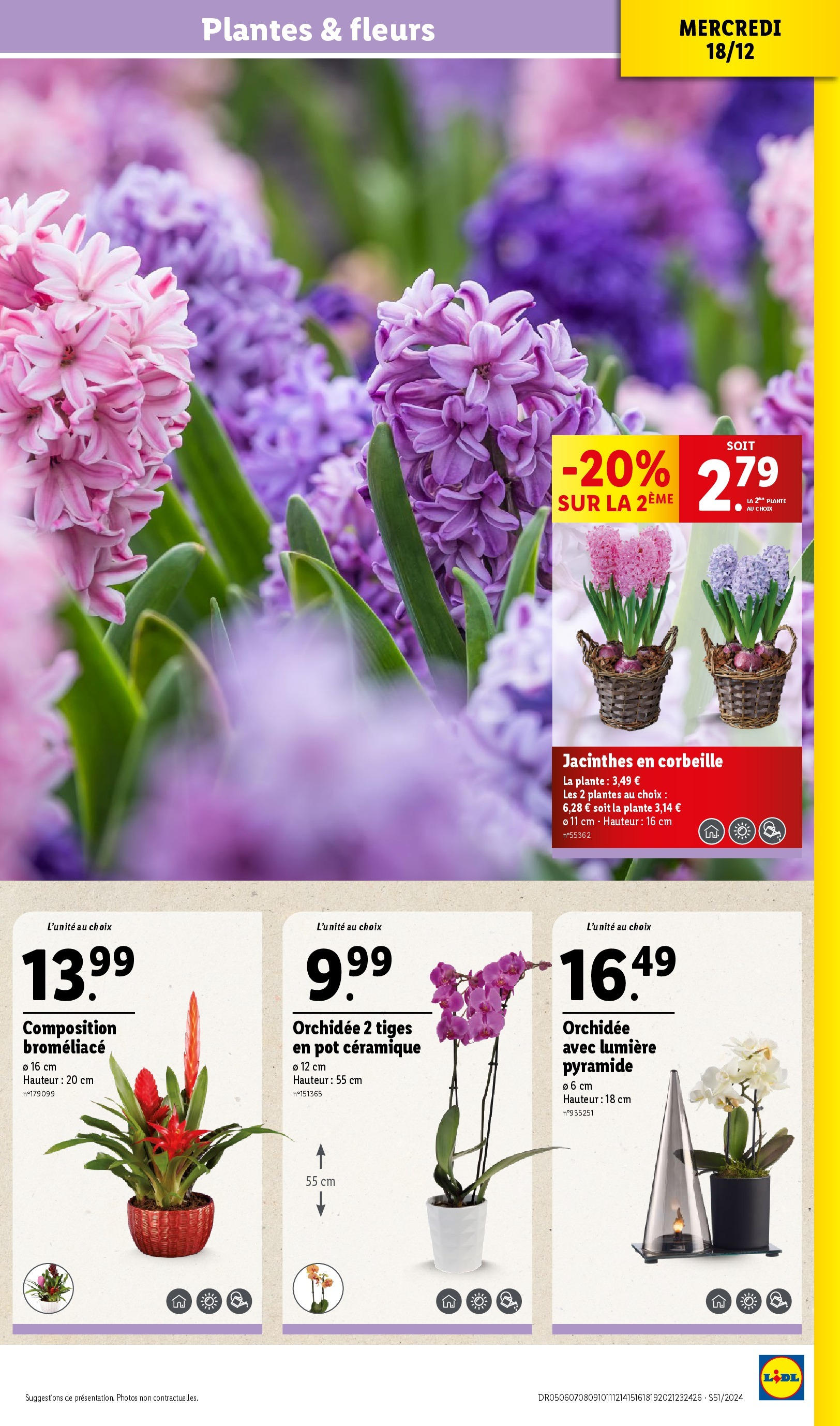 Catalogue LIDL du 15/12/2024 | Promo prospectus en ligne | Page: 33 | Produits: Plantes, Orchidée