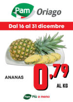 Pam PROMOZIONE ANANAS - al 31.12.2024