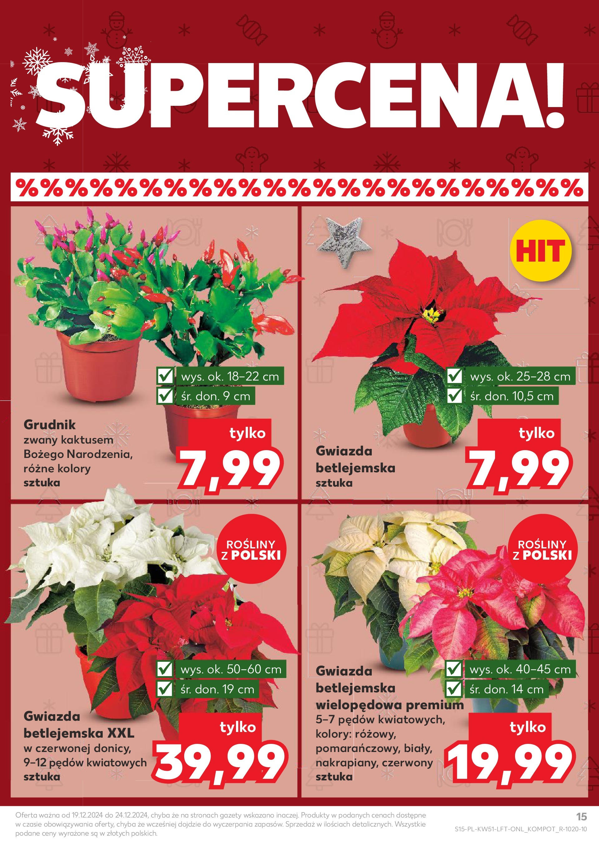 Kaufland gazetka od 19.12.2024 | Boże Narodzenie 🎄🎁 | Strona: 15 | Produkty: Rosliny