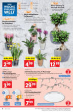 Lidl Österreich Lidl: Flugblatt in deiner Nähe - ab 30.12.2024