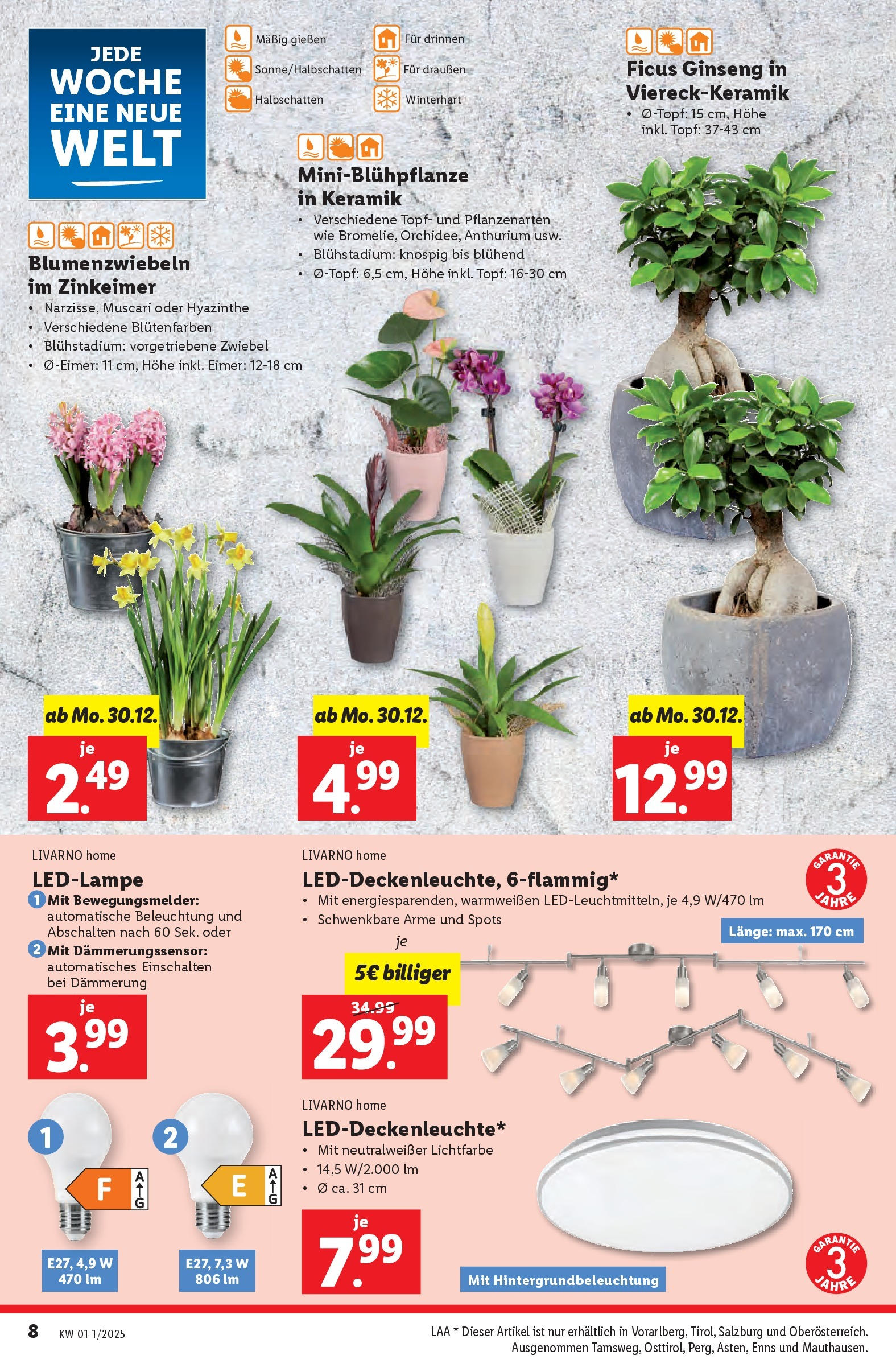 Lidl Flugblatt - Salzburg, Jenbach, Dornbirn ab 30.12.2024 - Angebote ab donnerstag | Seite: 8