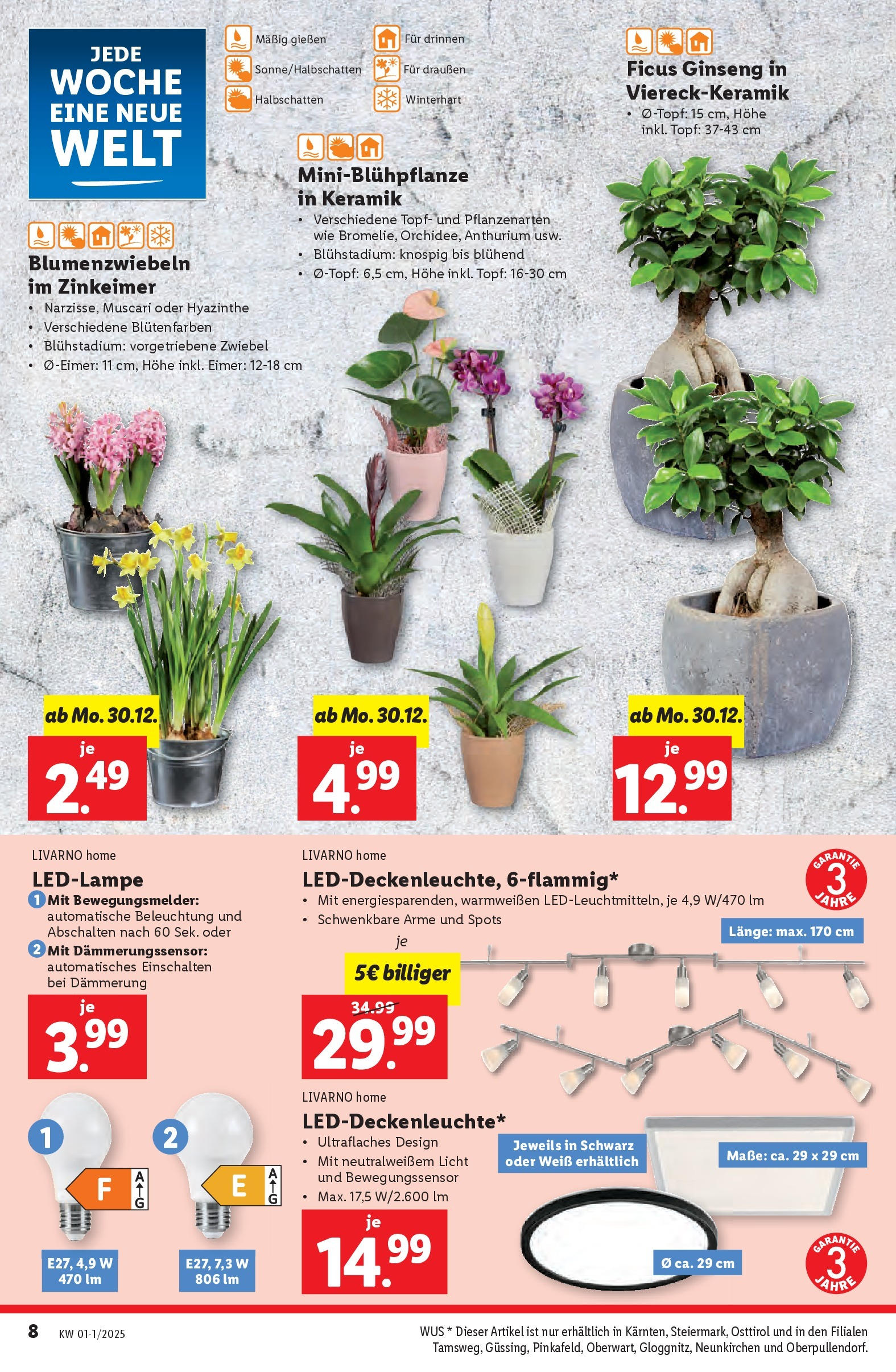 Lidl Flugblatt - Graz, Liezen, Oberwart ab 30.12.2024 - Angebote ab donnerstag | Seite: 8