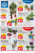 Lidl Österreich Lidl: Flugblatt in deiner Nähe - ab 02.01.2025