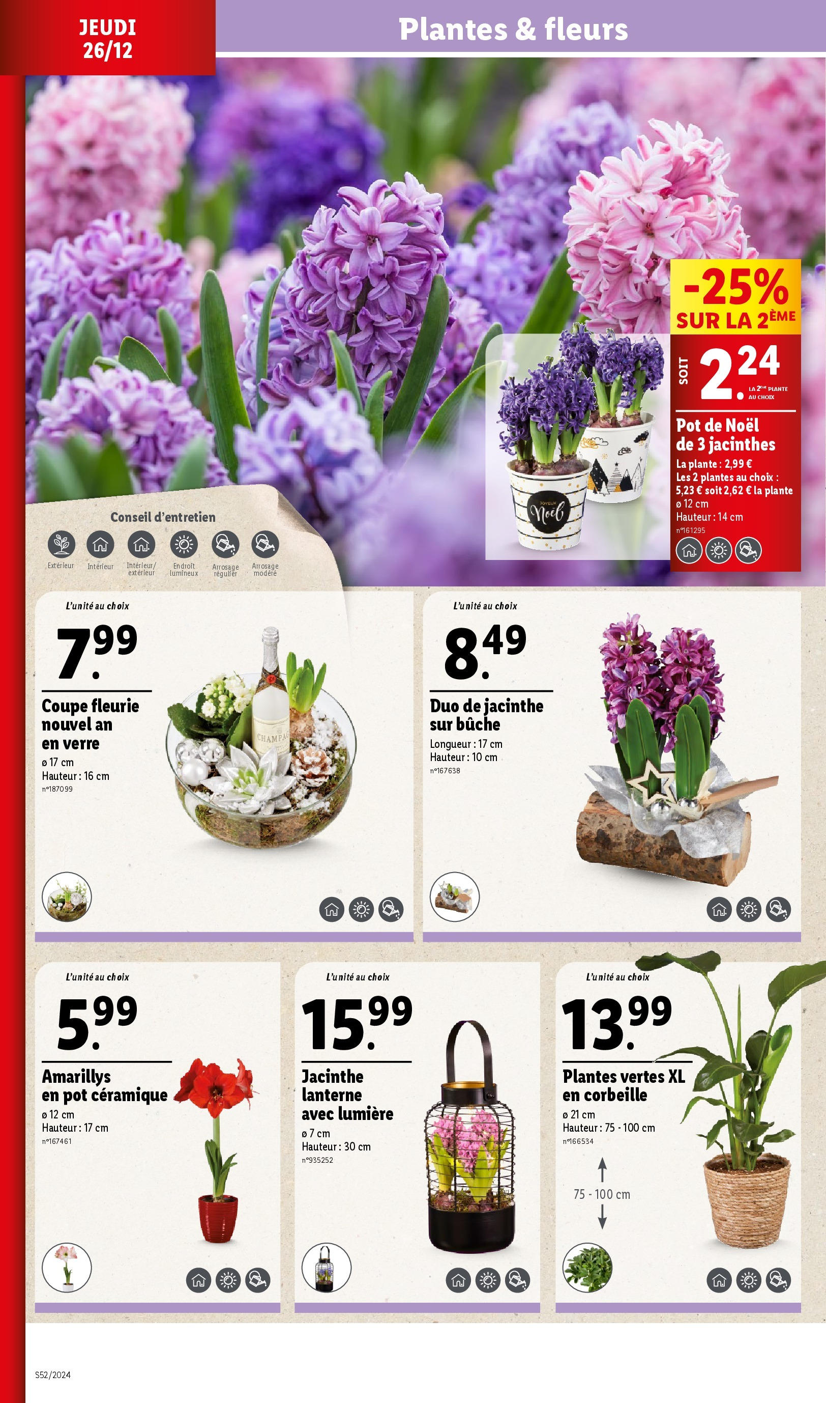 Catalogue LIDL du 25/12/2024 | Promo prospectus en ligne | Page: 24 | Produits: Plantes