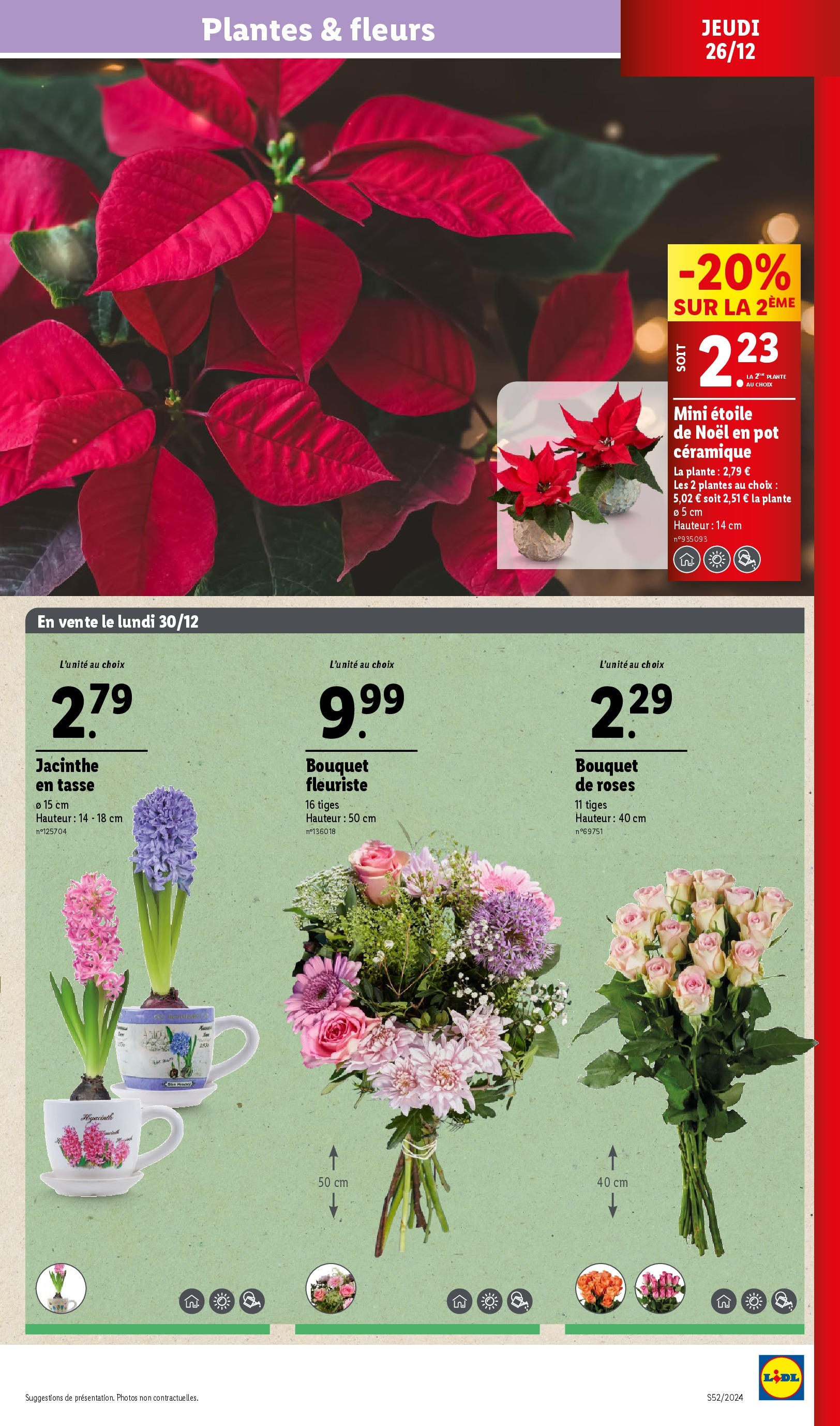 Catalogue LIDL du 25/12/2024 | Promo prospectus en ligne | Page: 25 | Produits: Plantes