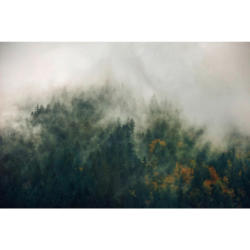 Komar Fototapete Tales of the Carpathians B/L: ca. 300x200 cm