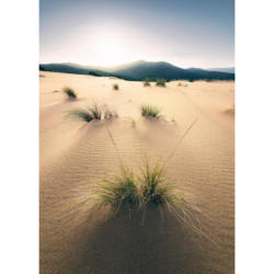 Komar Fototapete Vivid Dunes B/L: ca. 200x280 cm