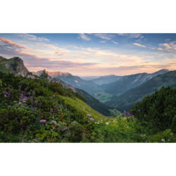 Komar Fototapete Naturpark Allgäuer Hochalpen B/L: ca. 450x280 cm