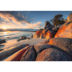 Komar Fototapete Bay of Fires B/L: ca. 400x280 cm