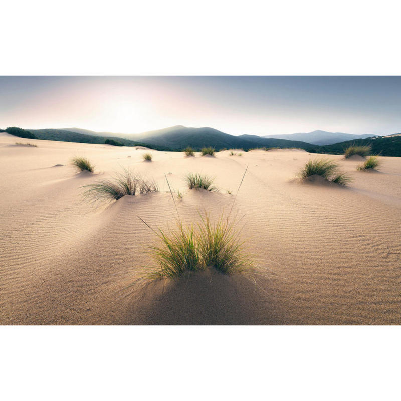 Komar Fototapete Vivid Dunes B/L: ca. 450x280 cm