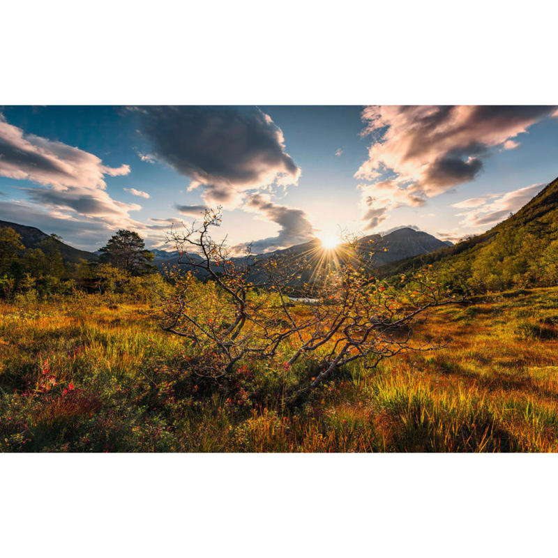 Komar Fototapete Norwegische Herbstwelten B/L: ca. 450x280 cm