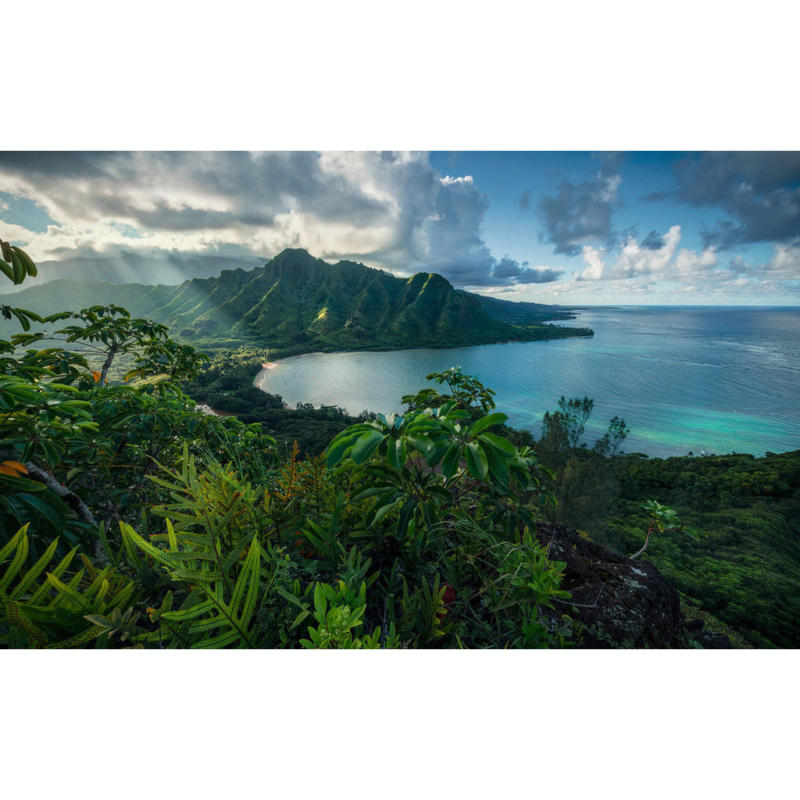 Komar Fototapete Jurassic Island B/L: ca. 450x280 cm