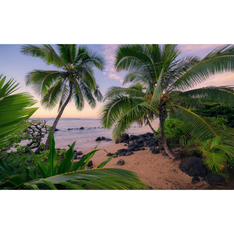 Komar Fototapete Hawaiian Dreams B/L: ca. 450x280 cm