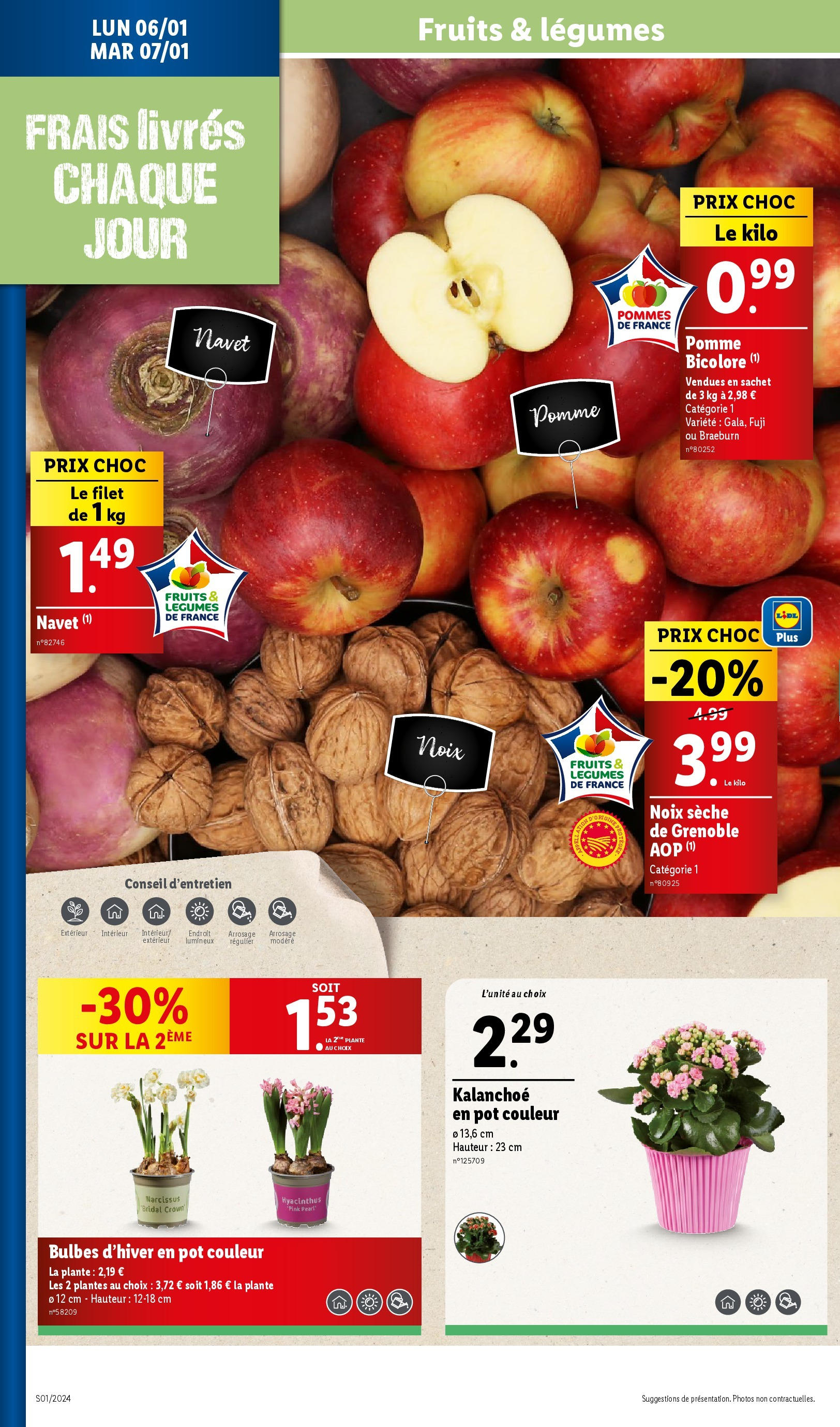 Catalogue LIDL du 01/01/2025 | Promo prospectus en ligne | Page: 32 | Produits: Pomme bicolore, Pomme, Navet, Noix