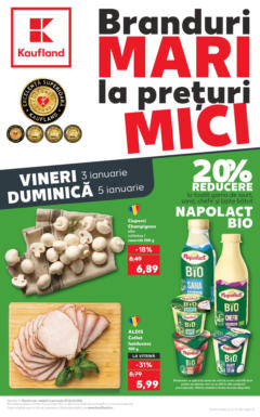 Catalog Kaufland - Râmnicu Vâlcea – previzualizare al pliantului de la Kaufland valabil de la 03.01.2025