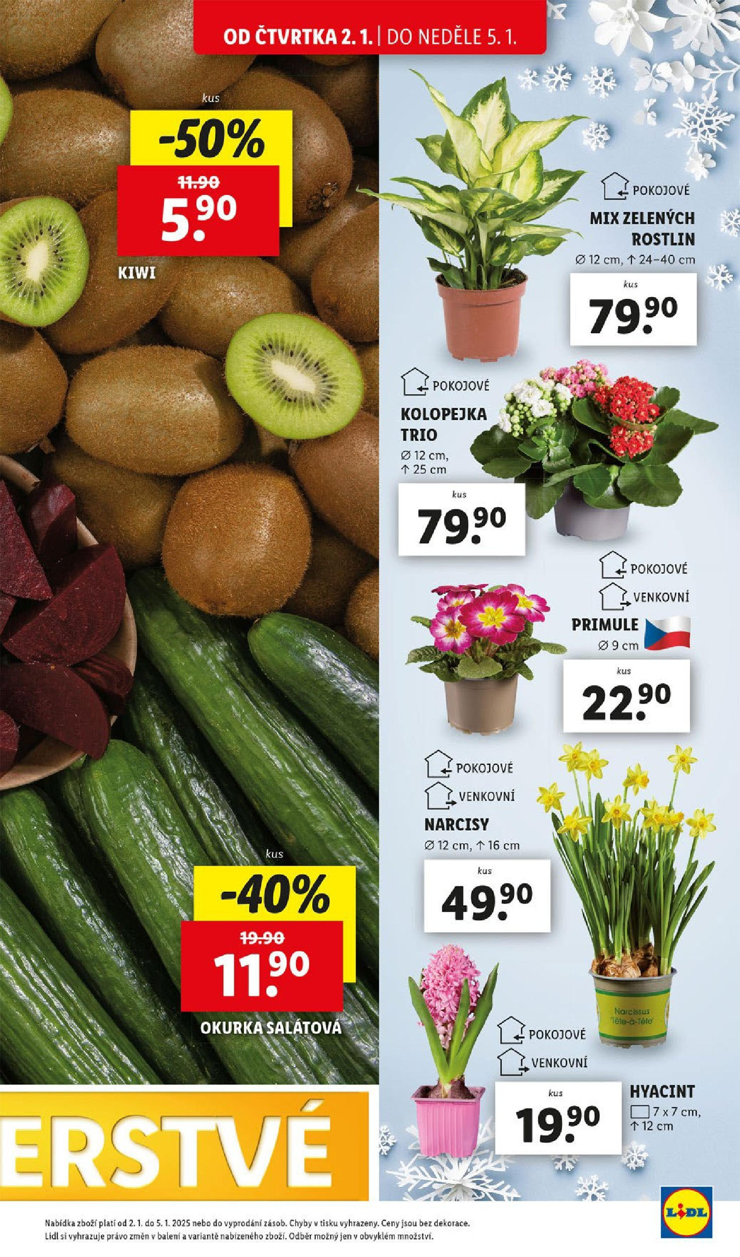 Lidl leták od 02.01.2025 - Nový akční leták | Strana: 15 | Produkty: Kiwi, Okurka