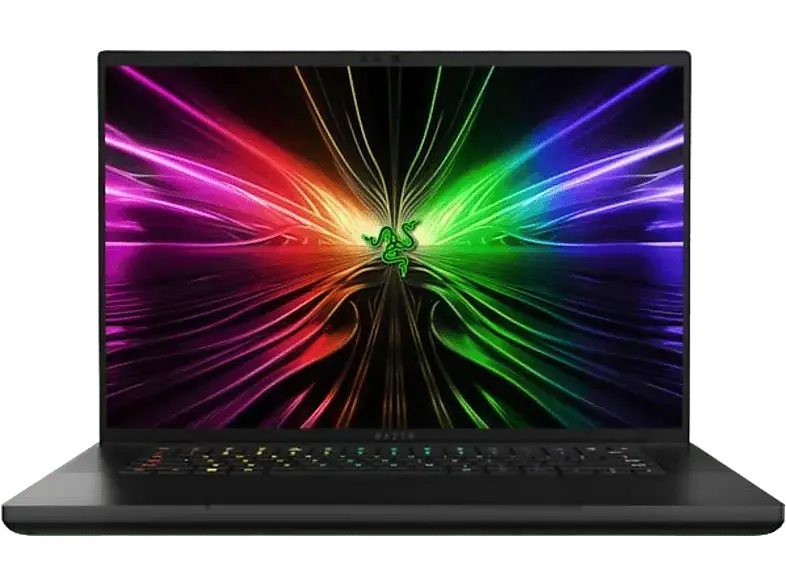 RAZER Blade 16 (2024) Gaming Notebook Zoll, WQXGA, Intel® Core™ i9-14900HX, GB RAM, 1000 SSD, Windows 11 Home (64 Bit), GeForce RTX™ 4070, Schwarz
