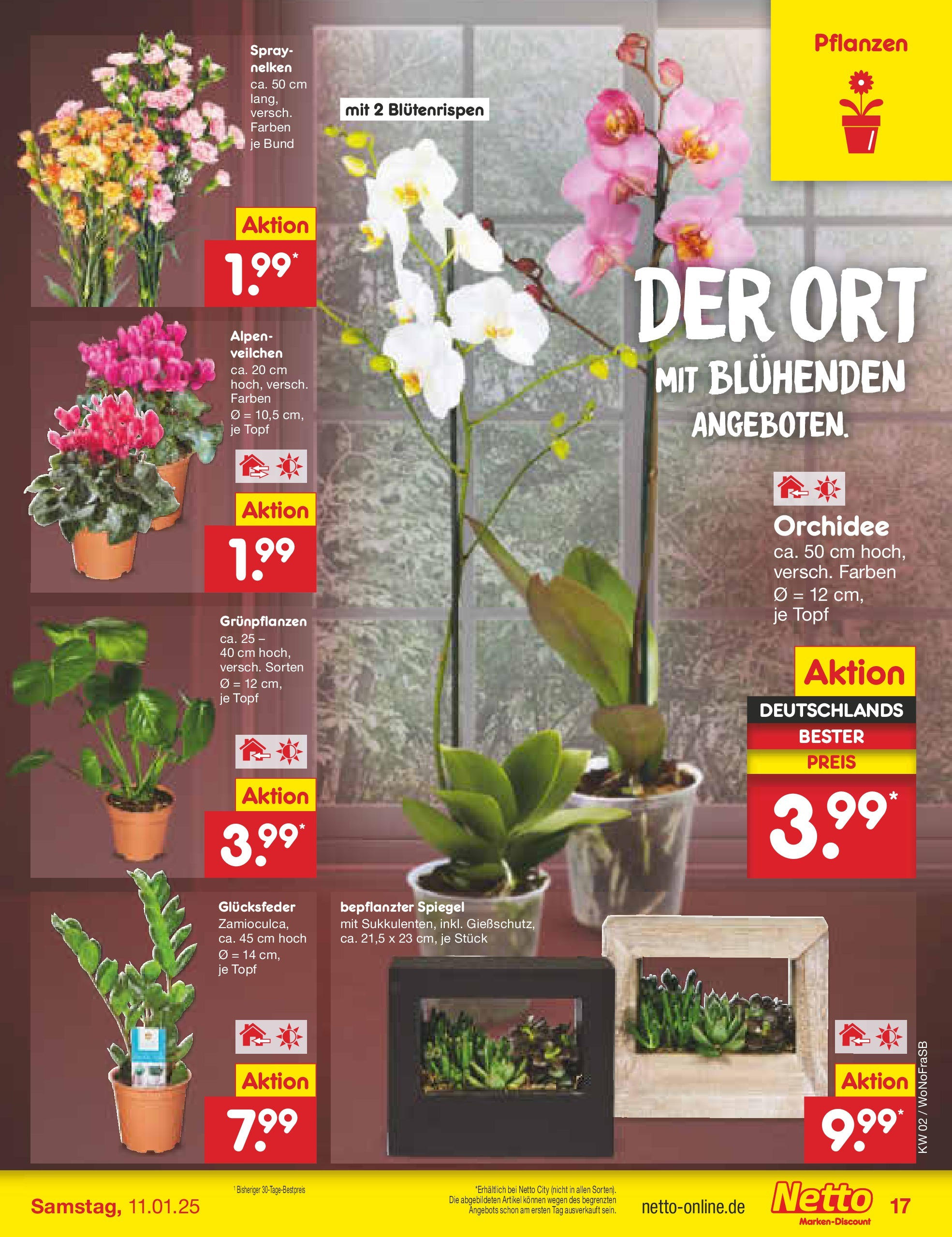 Netto Marken-Discount - Netto: Getränkeangebote (ab 06.01.2025) » Angebote | Seite: 25 | Produkte: Orchidee, Spiegel