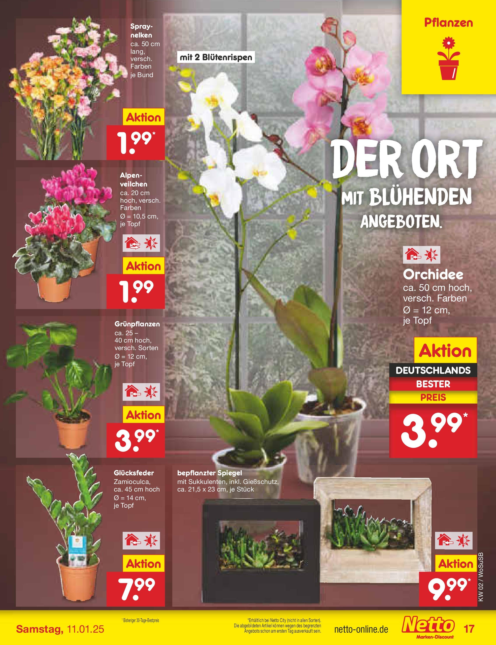 Netto Marken-Discount - Netto: Getränkeangebote (ab 06.01.2025) » Angebote | Seite: 25 | Produkte: Orchidee, Spiegel