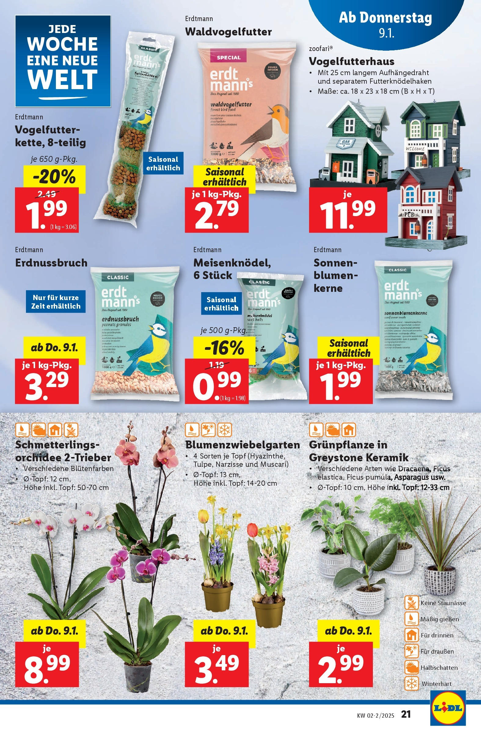 Lidl Flugblatt - Wien ab 09.01.2025 - Angebote ab donnerstag | Seite: 21