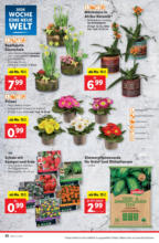 Lidl Österreich Lidl: Flugblatt in deiner Nähe - ab 09.01.2025