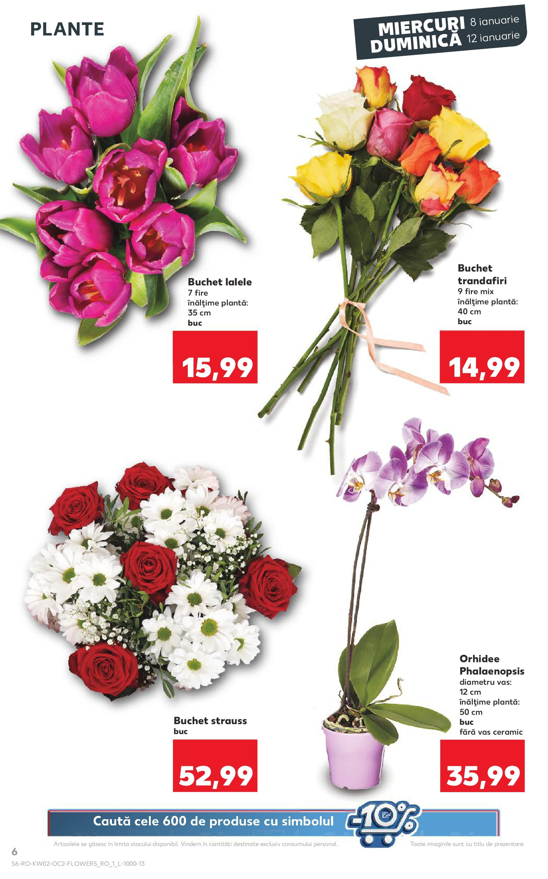 Catalog Kaufland - Târgovişte 08.01.2025 - Revista si Oferta | Pagină: 6 | Produse: Orhidee