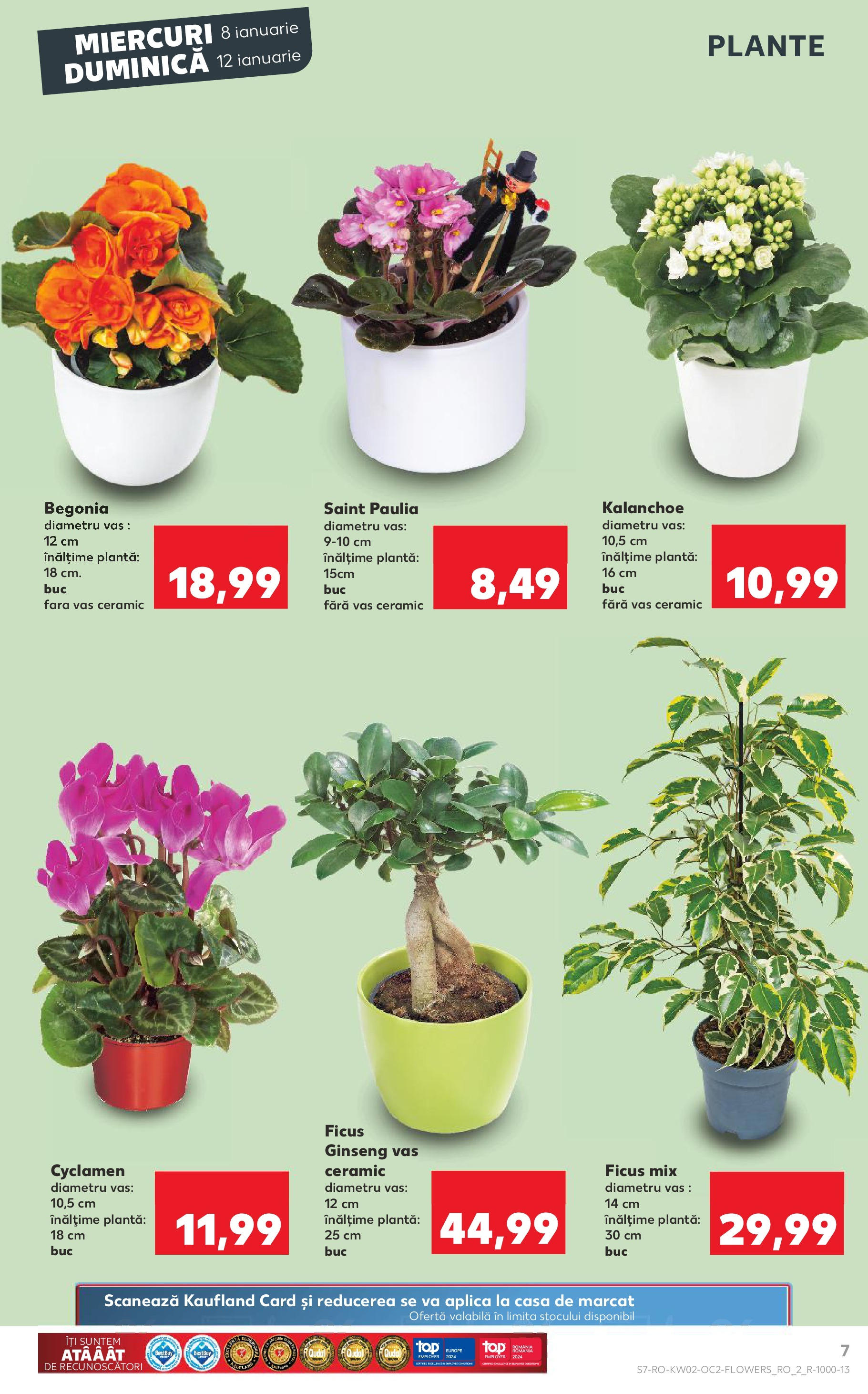 Catalog Kaufland - Târgovişte 08.01.2025 - Revista si Oferta | Pagină: 7