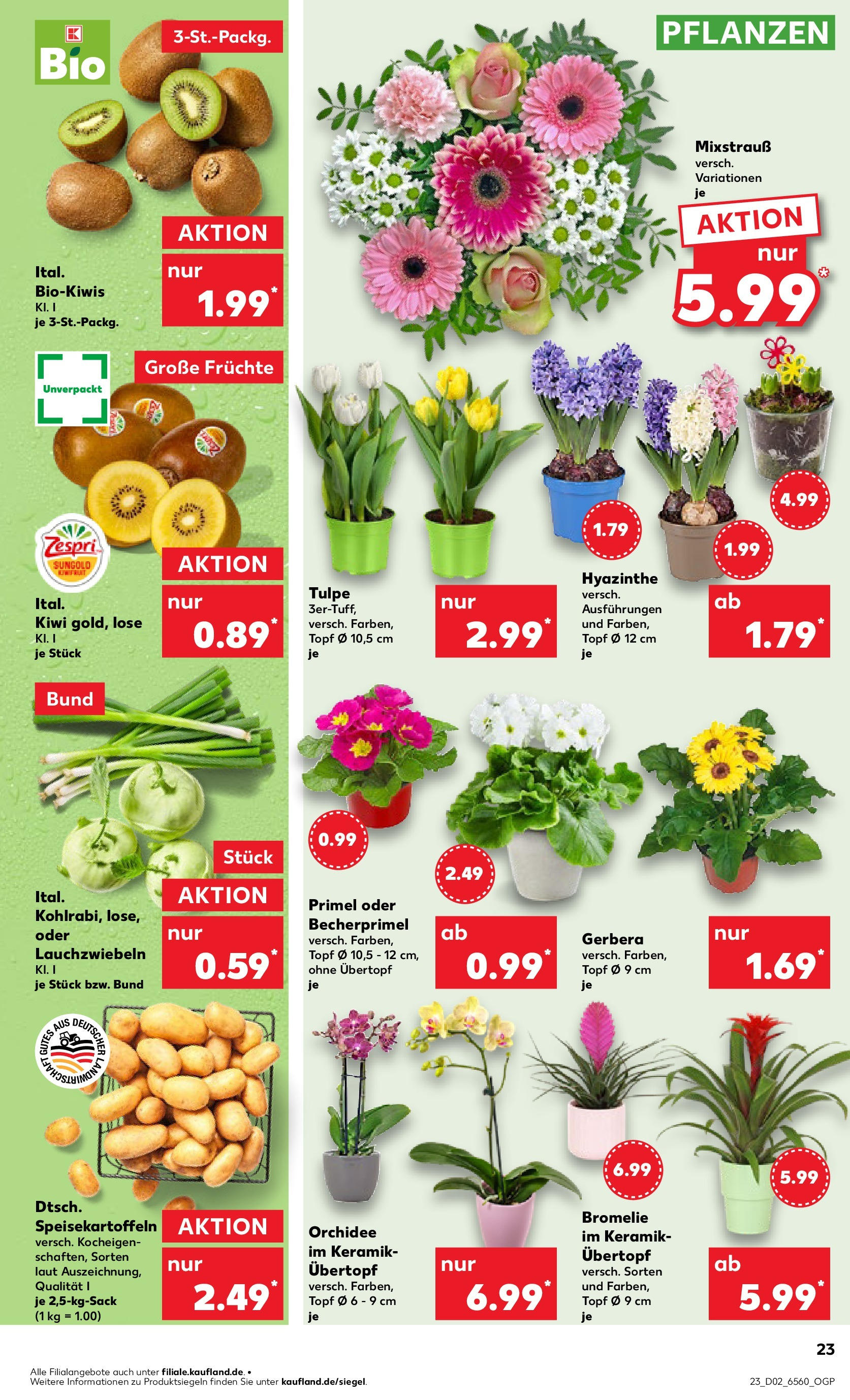 Kaufland - Nürnberg, Fürther Straße 187 (ab 09.01.2025) » Angebote Online zum Blättern | Seite: 23 | Produkte: Orchidee, Kiwi